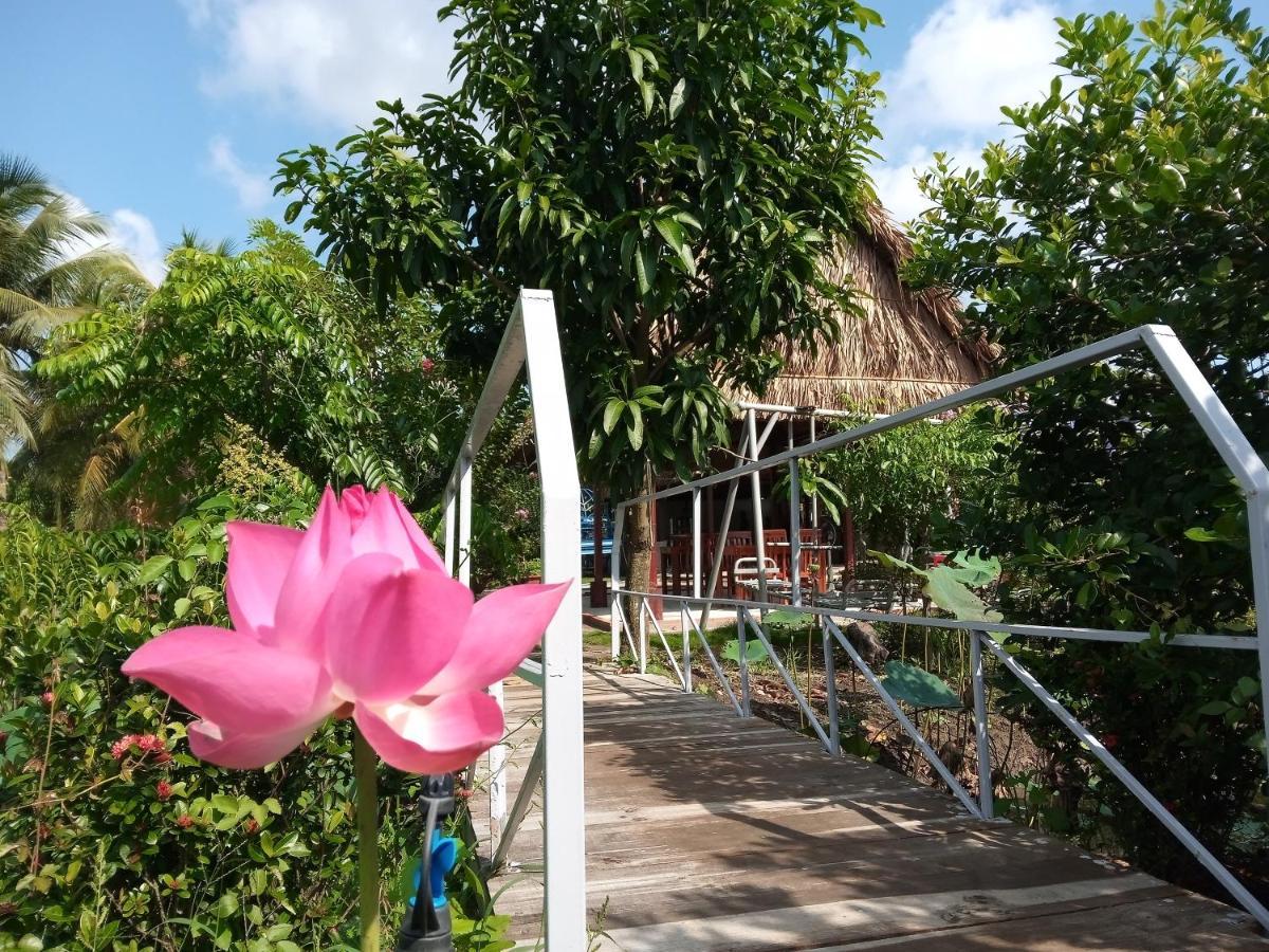 Thach Thao Homestay مي ثو المظهر الخارجي الصورة