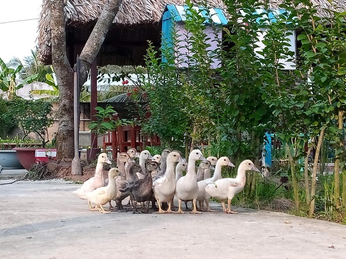 Thach Thao Homestay مي ثو المظهر الخارجي الصورة