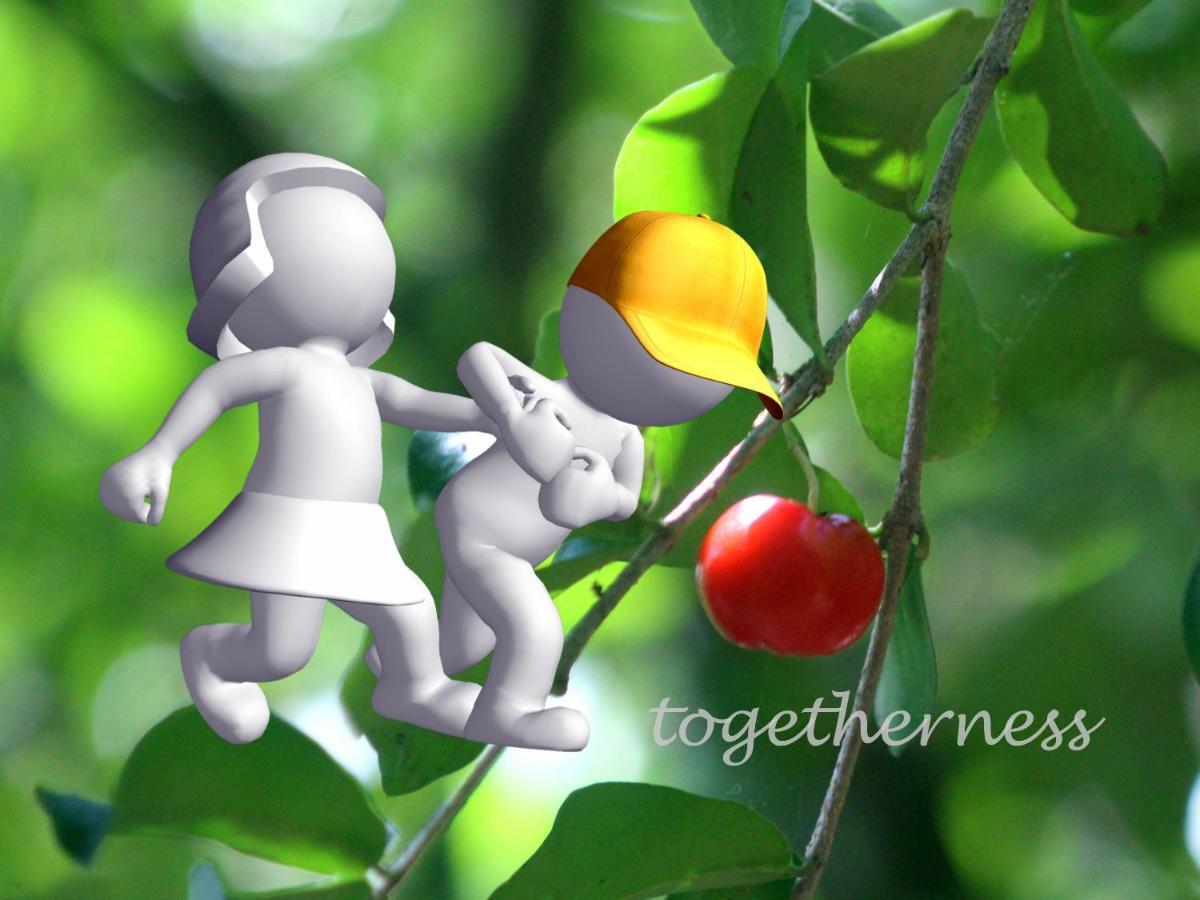 Thach Thao Homestay مي ثو المظهر الخارجي الصورة