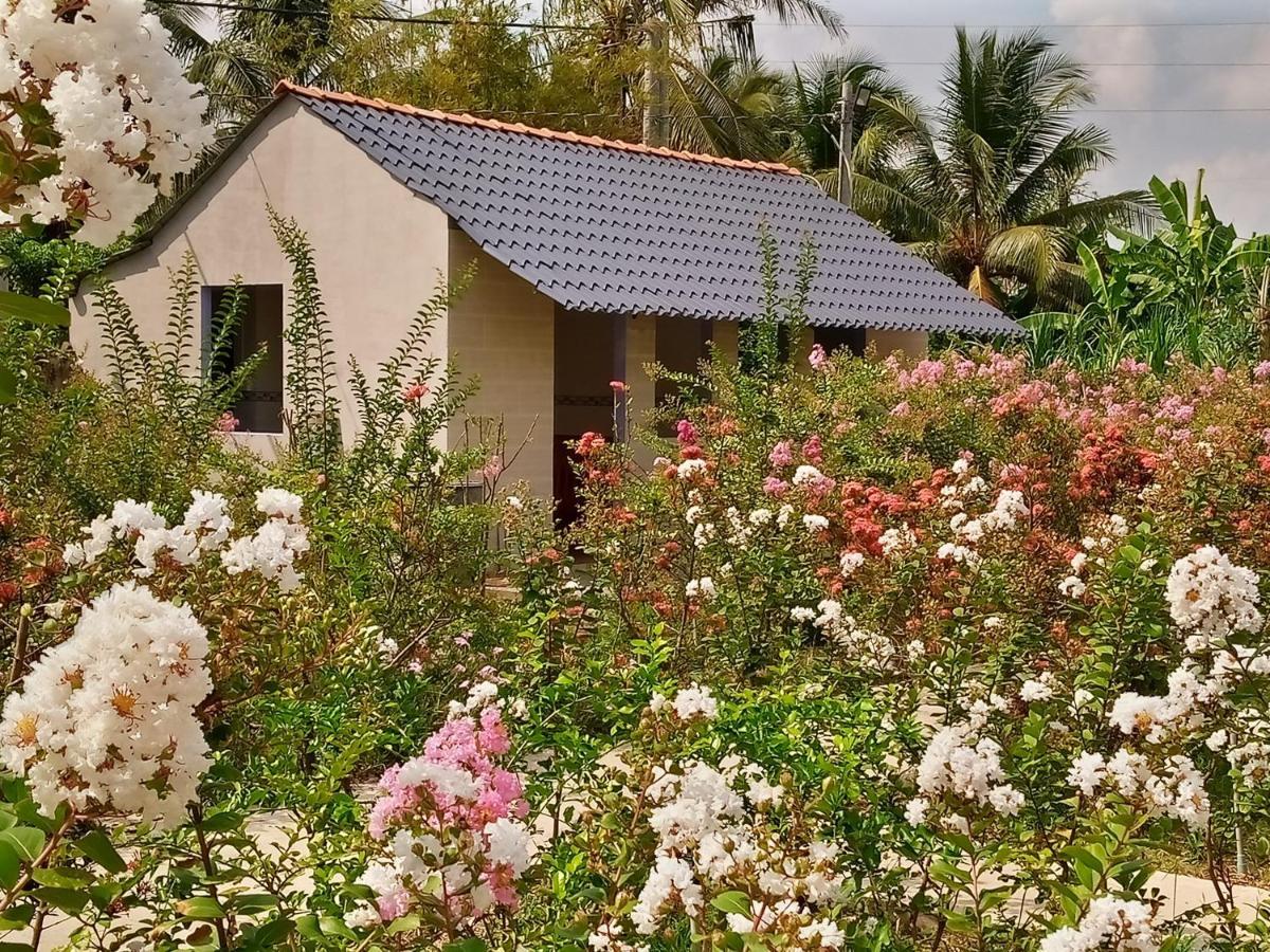 Thach Thao Homestay مي ثو المظهر الخارجي الصورة